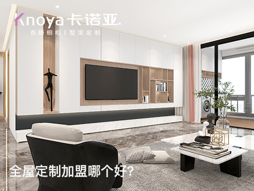 安顺全屋定制加盟哪个品牌好?